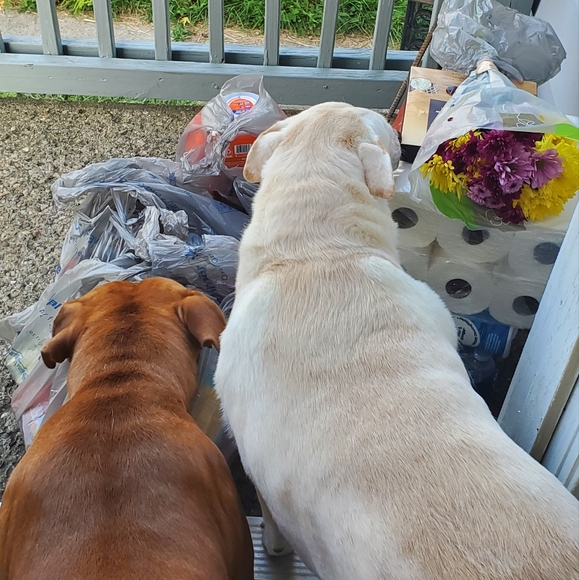 ๐ธfollow game #2๐ธ - Picture 2 of 15